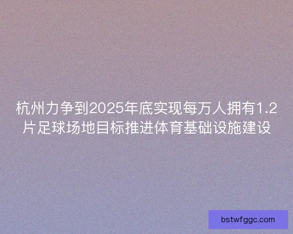 杭州力争到2025年底实现每万人拥有1.2片足球场地目标推进体育基础设施建设