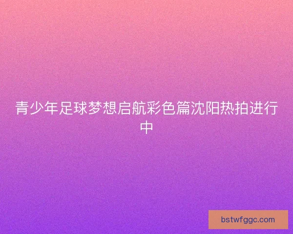 青少年足球梦想启航彩色篇沈阳热拍进行中